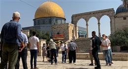 135 مستوطنا يقتحمون المسجد الأقصى.. وتزايد الانتهاكات بحق الفلسطينيين في القدس