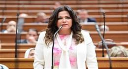 رئيس «سياحة النواب»: زيارة الرئيس السيسي لتنزانيا انطلاقة جديدة للتعاون بالقطاعات الحيوية