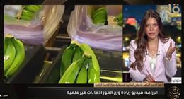 البحوث الزراعية: زيادة وزن الموز بعد الحصاد «خرافة» لا أساس لها من الصحة