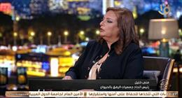 «الرفق بالحيوان»: نجاح خطة إدارة حيوانات الشوارع يتطلب مراكز بيطرية مجهزة