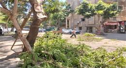 «الجيزة» تؤمن شجرة تهدد حياة المواطنين بالعجوزة وتخلي محيط مدرسة بالهرم من الإشغالات 