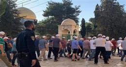 المستوطنون يواصلون انتهاكاتهم بالقدس.. اقتحامات لباحات الأقصى واعتداء على مسيحيين