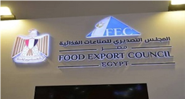 التصديري للصناعات الغذائية: مصر الـ11 عالميا في صادرات البطاطس المحضرة المجمدة