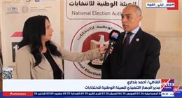 «الوطنية للانتخابات»: إشادة إفريقية بالتجربة المصرية في تصويت المواطنين بالخارج