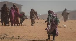 الأمم المتحدة تتهم «الدعم السريع» بارتكاب إبادة جماعية في الفاشر